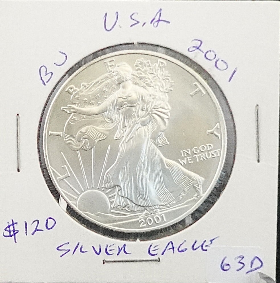 2001 Silver Eagle (1 of 2)