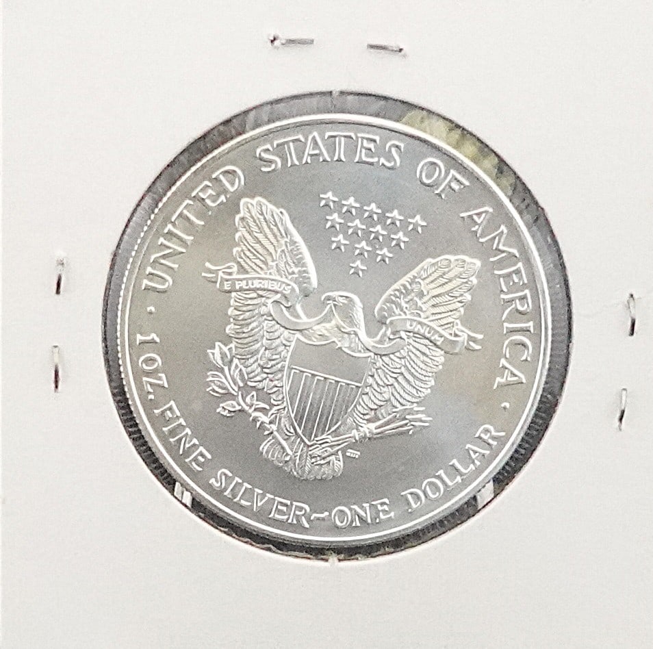 2001 Silver Eagle - 2