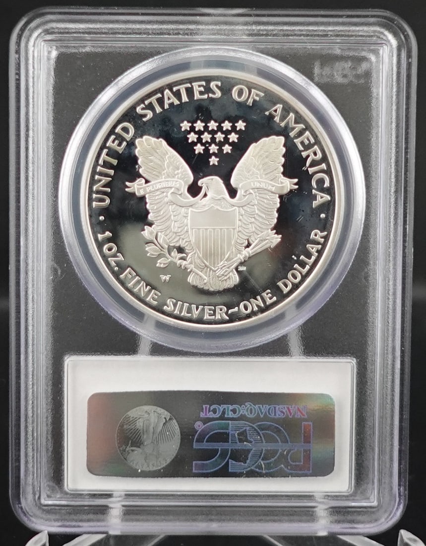 2006-W Silver Eagle Coin - 2