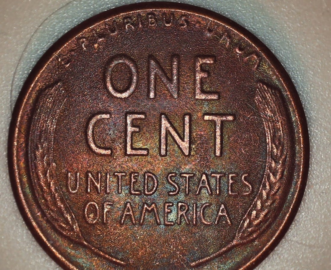 1909 to 2009 Wheat and Lincoln Cent Book - 5