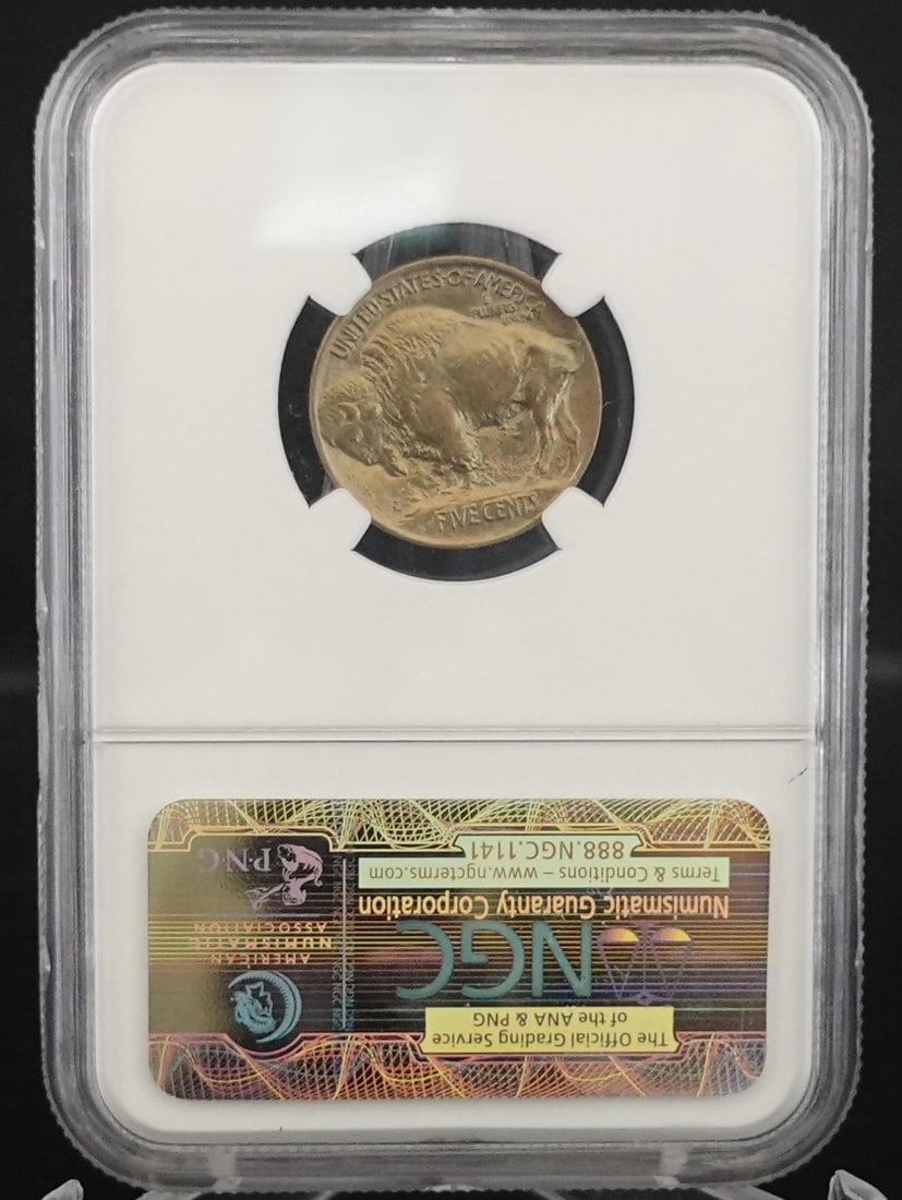 1913 Type 1 Buffalo Nickel - 2