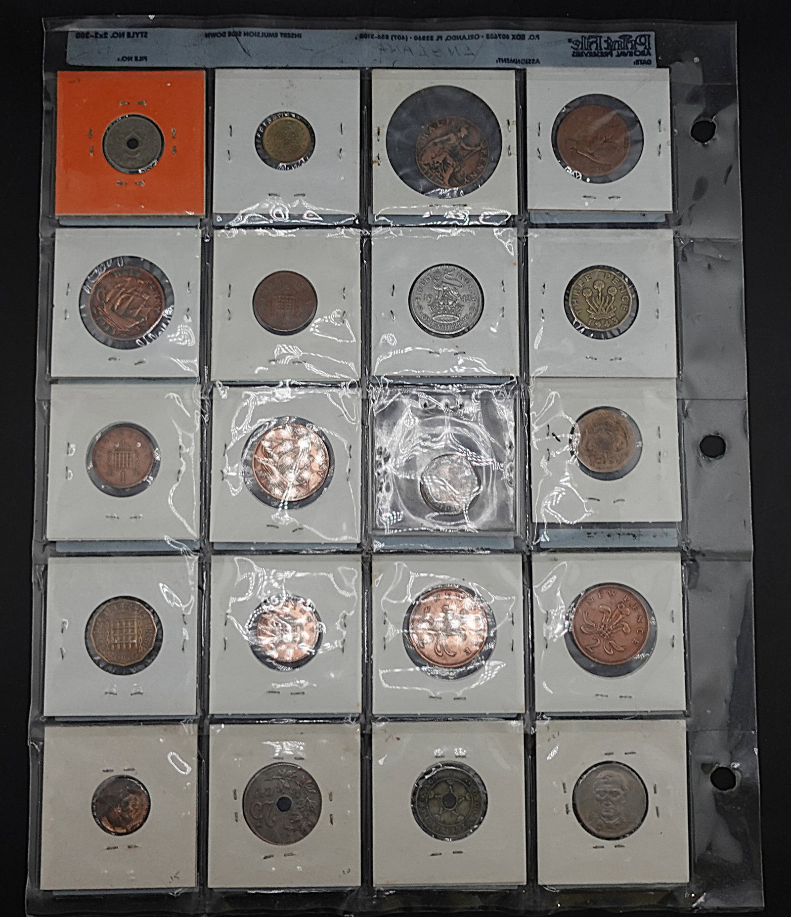 (11) Pages of Foreign Coins: This is a great collection. They are all in a binder!