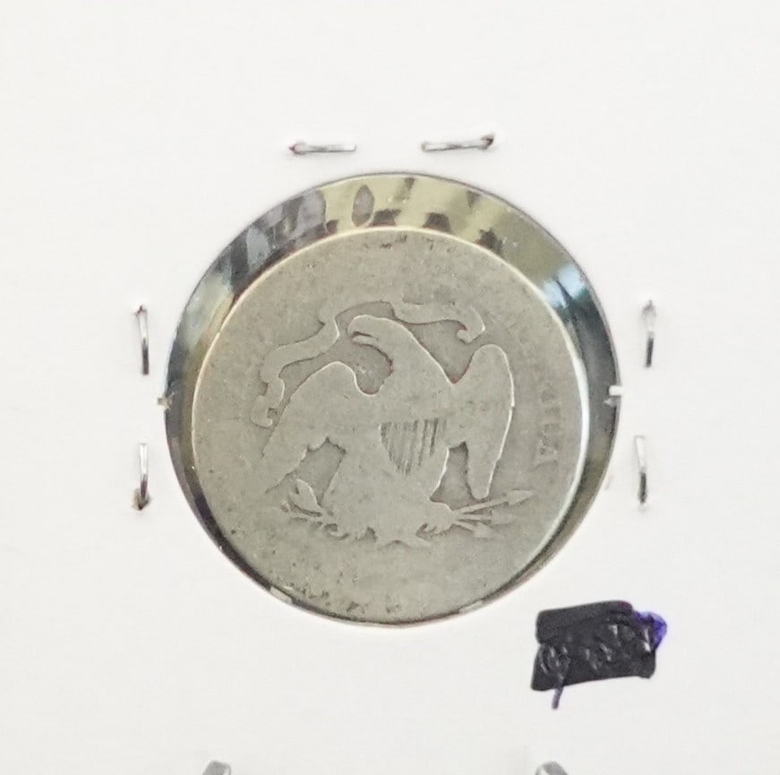 (3) Seated Quarters - 6