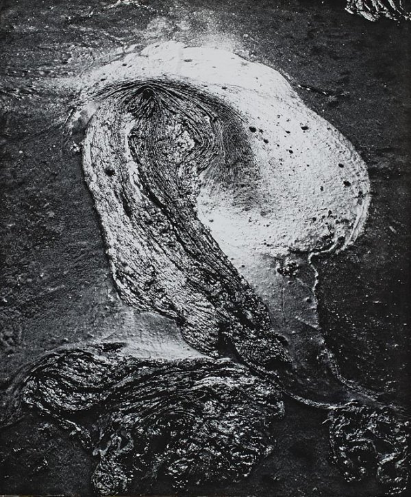 "LUCIEN CLERGUE (Né en 1934)Algues, c.1965.Tirag