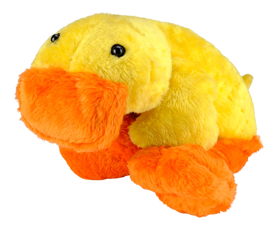 CLICK (2006) - Sundance's Stuffed Duck: CLICK (2006) - Sundance's Stuffed Duck - Sundance's stuffed duck from Frank Coraci's Click. Michael (Adam Sandler) and Donna Newman's (Kate Beckinsale) dog Sundance could not stop humping its stuffed 