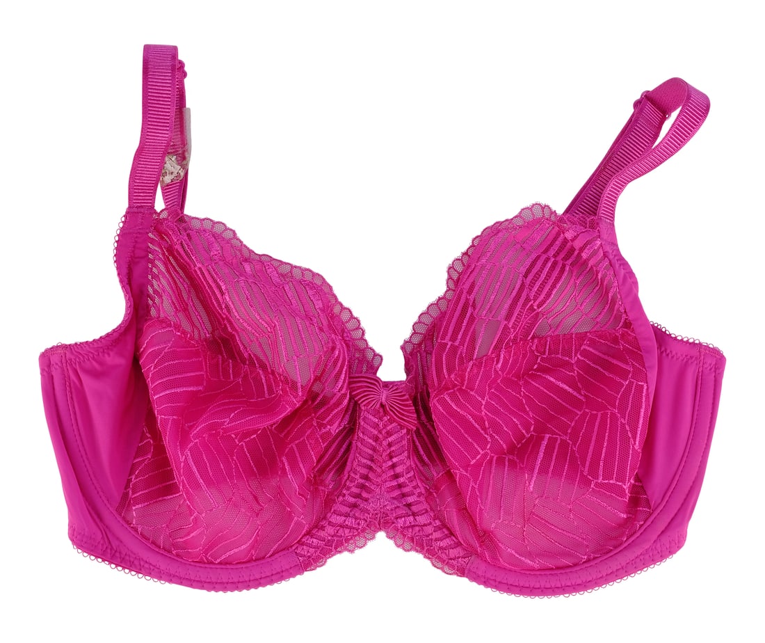 GROWN UPS 2 (2013) - Roxanne Chase-Feder's (Salma Hayek) Bra (1 of 3)