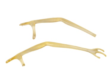 THE ABYSS (1989) - Pair of Non-Terrestrial Intelligence (N.T.I.) Creature Puppet Arms