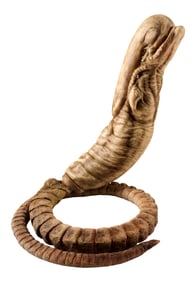 AVP: ALIEN VS. PREDATOR (2004) - Chestburster with Detachable Tail