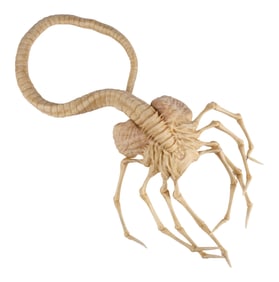 ALIEN: COVENANT (2017) - Xenomorph Facehugger