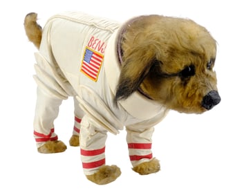 BENJI AT WORK (1980) - Benji Stand-in