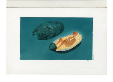 COCOON (1985) - Hand-Painted Ralph McQuarrie Alien in a Pod Painting