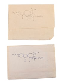 GOOD WILL HUNTING (1997) - Pair of Production-Made Handwritten Will Hunting (Matt Damon) "Ibogamine"