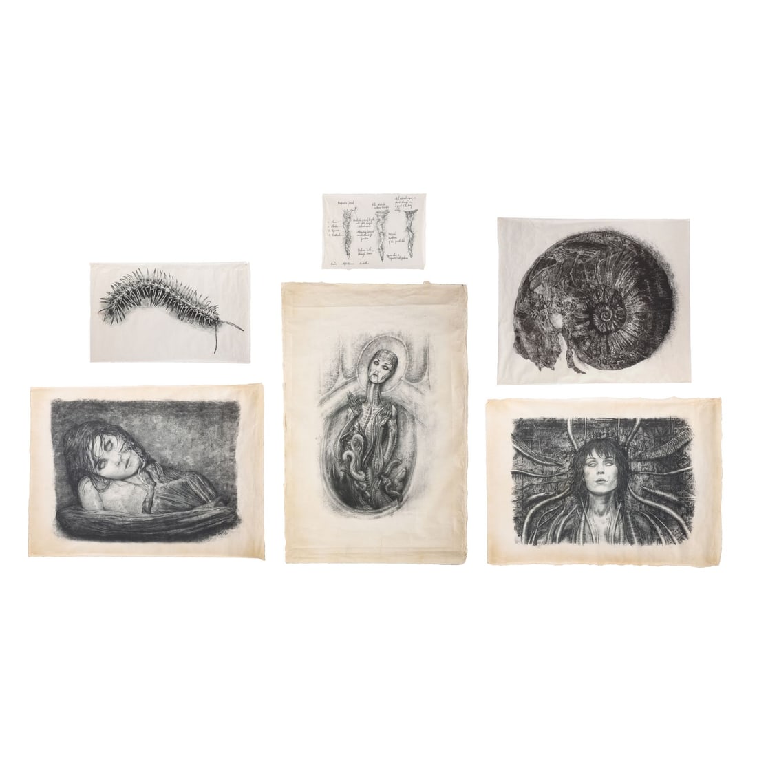 ALIEN: COVENANT (2017) - David's (Michael Fassbender) Cave Drawings (1 of 9)