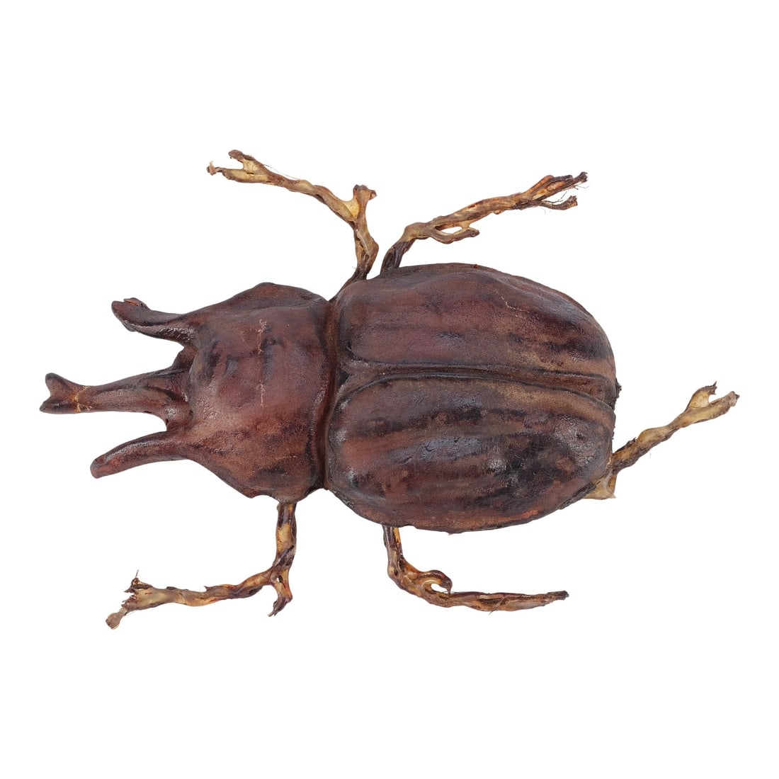 INDIANA JONES AND THE TEMPLE OF DOOM (1984) - Pankot Palace Banquet Beetle (1 of 1)