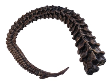 ALIENS (1986) - Xenomorph Warrior Suit Tail