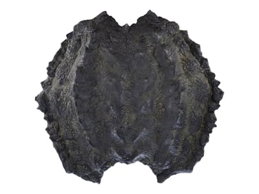 CLASH OF THE TITANS (2010) - Perseus' (Sam Worthington) Scorpion Shield