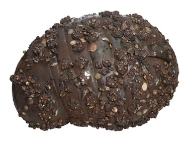 COCOON (1985) - Full-Size Cocoon