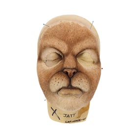 DOCTOR WHO (T.V. SERIES, 2005-2022) - Catkind Facial Appliance