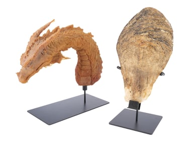 DRAGONSLAYER (1981) - Vermithrax Pejorative Puppet Head Casting and Full-Size Dragon Scale