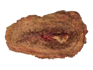 THE EVIL DEAD (1981) - Tom Sullivan Collection: Scott's (Richard DeManincor) Special Effects Broken