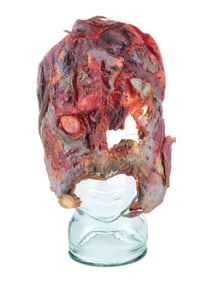 THE EVIL DEAD (1981) - Tom Sullivan Collection: Deadite Cheryl Williams' (Ted Raimi) Finale Facial