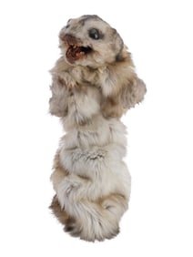 GHOSTBUSTERS II (1989) - Reanimated Mink Coat Puppet