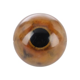 JURASSIC PARK (1993) - Baby Triceratops Paint Test Eye