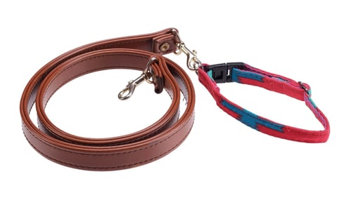 AS GOOD AS IT GETS (1997) - Verdell's (Jill the Dog) Collar and Leash