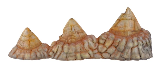 JURASSIC PARK (1993) - Production-Made Sick Triceratops Spikes in Frill Display
