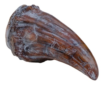 JURASSIC PARK (1993) - Production-Made Tyrannosaurus Rex Claw