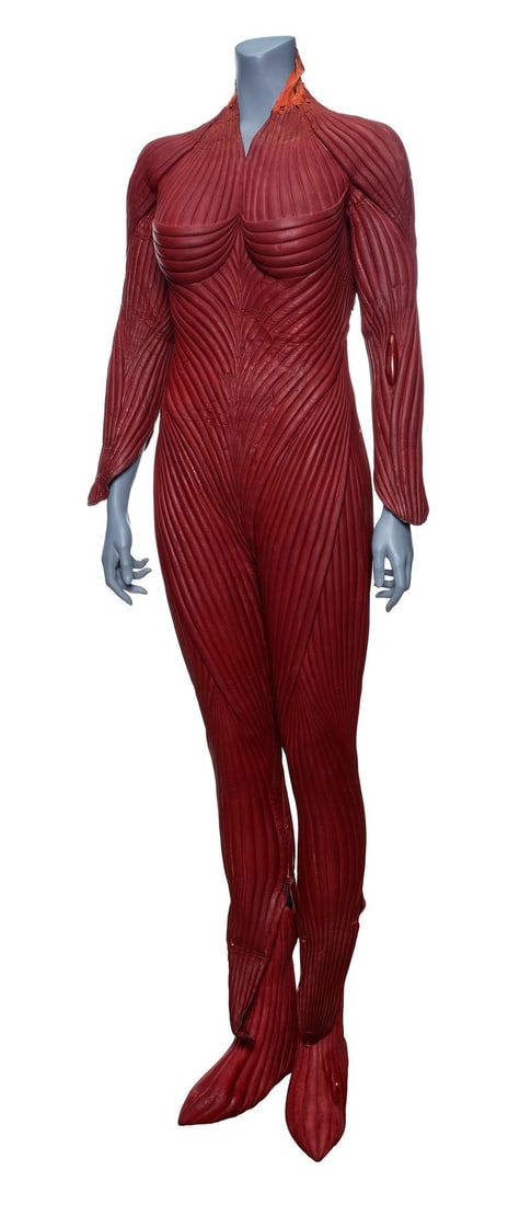 DOCTOR WHO (T.V. SERIES, 2005-2022) - Screen-matched TARDIS Door Sign: DOCTOR WHO (T.V. SERIES, 2005-2022) - Screen-matched TARDIS Door Sign - A screen-matched TARDIS door sign from the fourth season of the revived sci-fi television series Doctor Who. The Doctor (David T