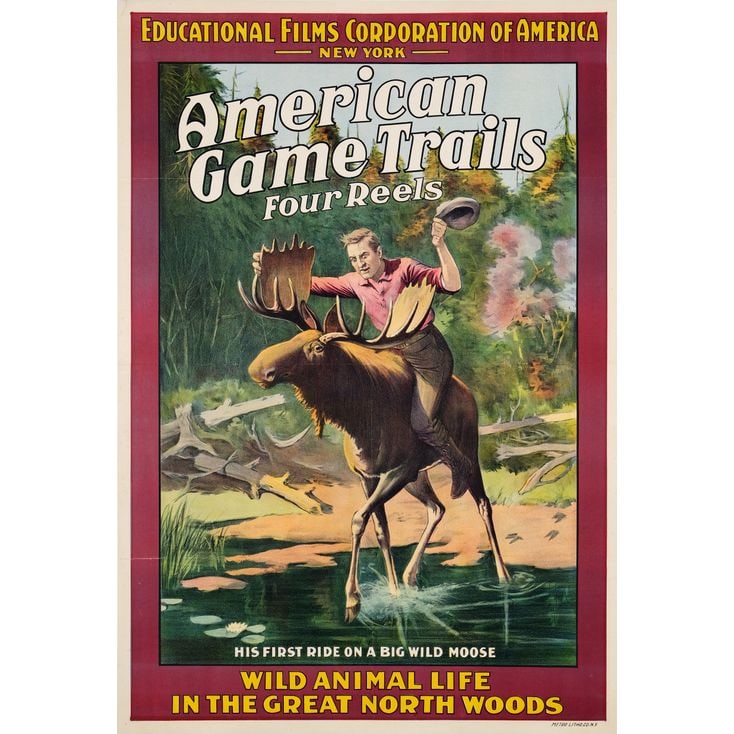 AMERICAN GAME TRAILS - One Sheet (27.5" x 40.25"); Stone Lithograph; Very Fine+ on Linen (1 of 1)