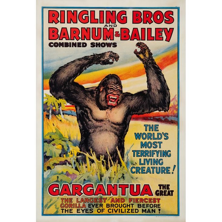 GARGANTUA - Circus Poster (28" x 41.75"); Stone Lithograph; Very Fine+ on Linen: GARGANTUA Circus Poster (28" x 41.75"); Stone Lithograph ; Very Fine+ on Linen Ringling Bros. and Barnum & Bailey , 1938 Depicting an enraged gorilla named "Gargantu