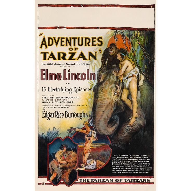 ADVENTURES OF TARZAN - Window Card (14" x 22"); The Bradleigh Vinson Collection; Stone Lithograph; (1 of 1)