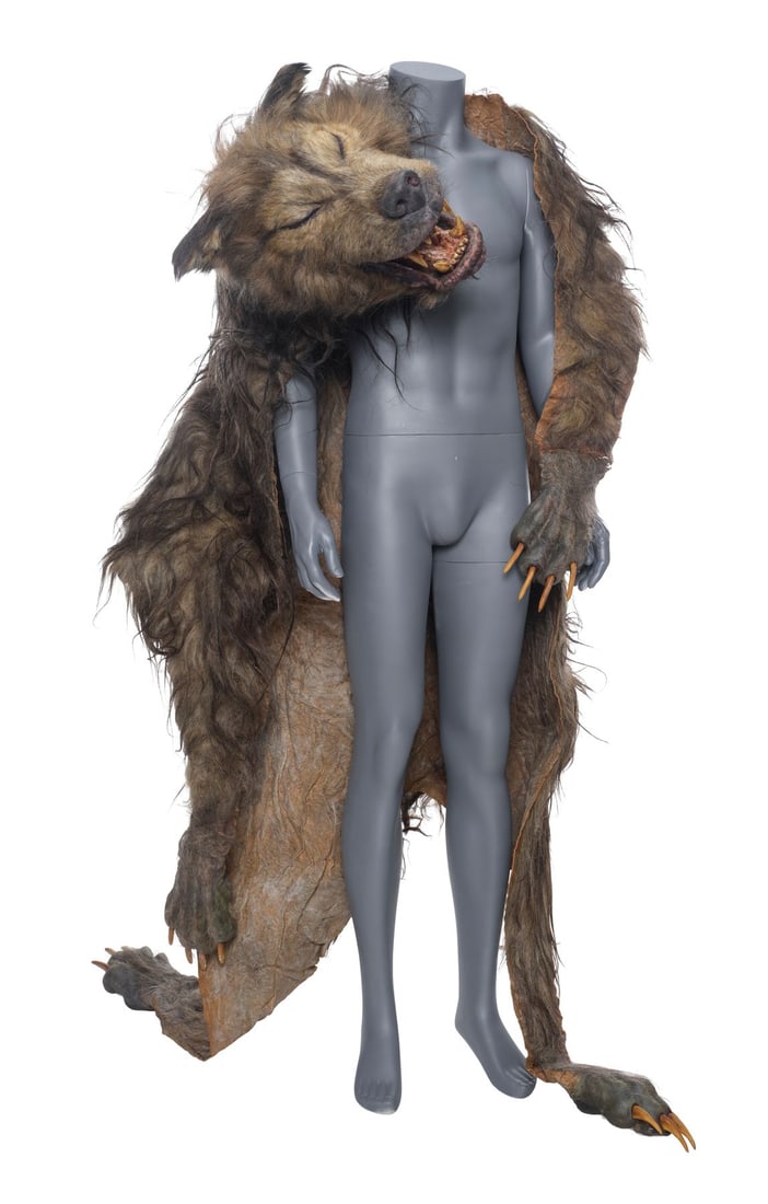 300 (2006) - Young Leonidas' (Tyler Neitzel) Wolf Pelt (1 of 9)