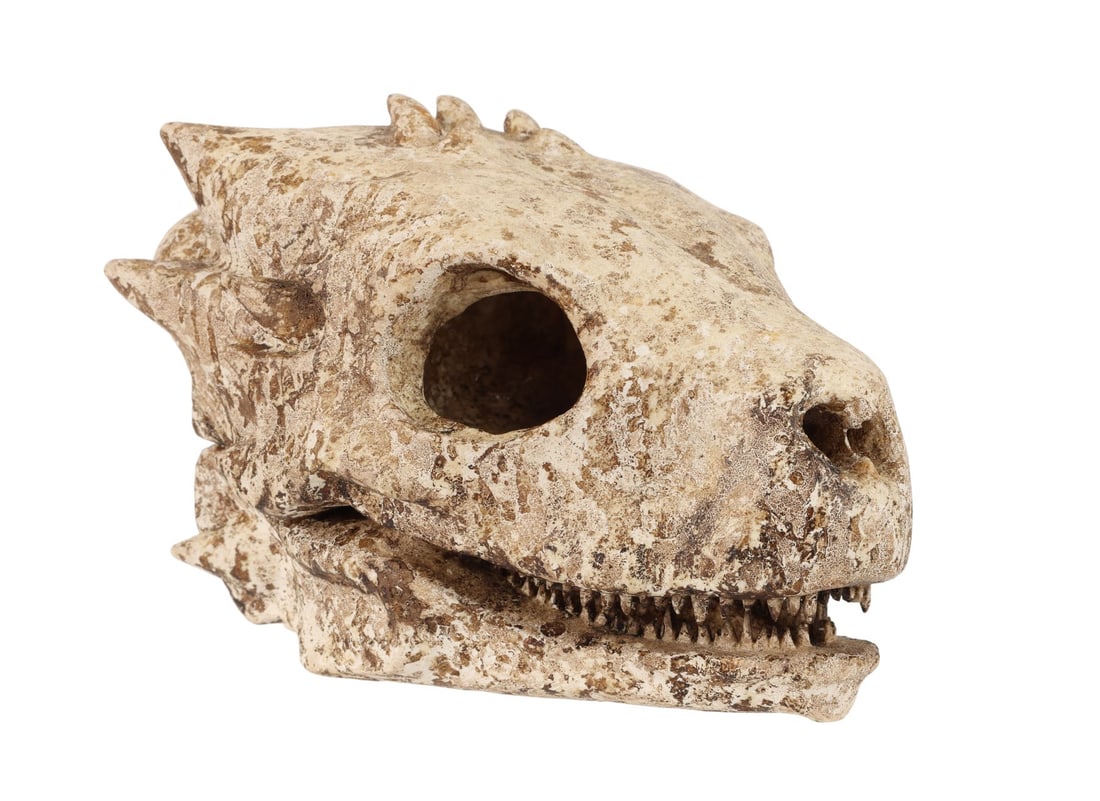 GAME OF THRONES (T.V. SERIES, 2011 - 2019) - Baby Dragon Skull: GAME OF THRONES (T.V. SERIES, 2011 - 2019) - Baby Dragon Skull - A baby dragon skull from HBO's award-winning fantasy television series Game of Thrones. In "Stormborn," the second episode of Season 7,