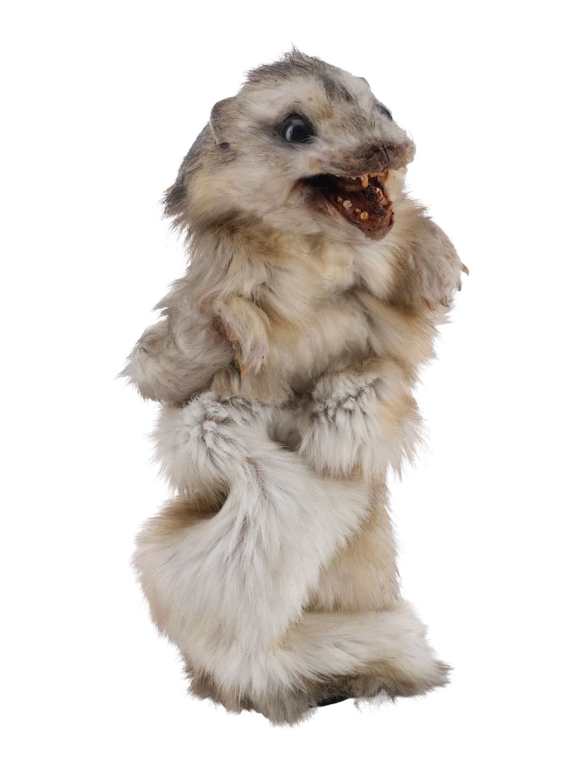 GHOSTBUSTERS II (1989) - Reanimated Mink Coat Puppet (1 of 12)