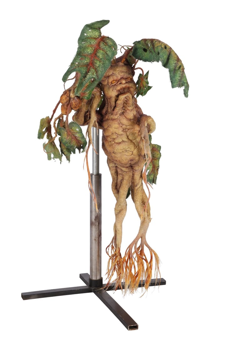 HARRY POTTER AND THE CHAMBER OF SECRETS (2002) - Mandrake Maquette: HARRY POTTER AND THE CHAMBER OF SECRETS (2002) - Mandrake Maquette - A mandrake maquette from the production of Chris Columbus's fantasy sequel Harry Potter and the Chamber of Secrets. In the film,