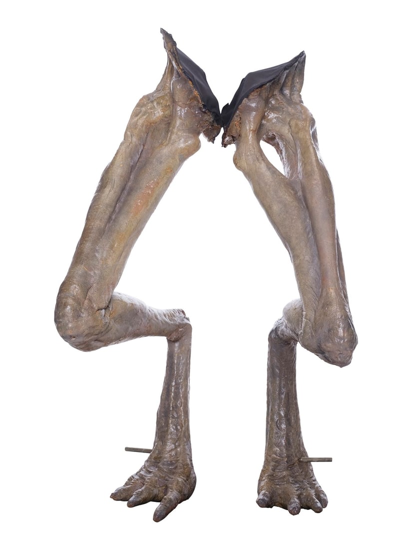 ALIEN RESURRECTION (1997) - Newborn Legs: ALIEN RESURRECTION (1997) - Newborn Legs - A pair of Newborn legs from Jean-Pierre Jeunet's sci-fi horror sequel Alien: Resurrection. The result of cloning experiments conducted by the United Systems