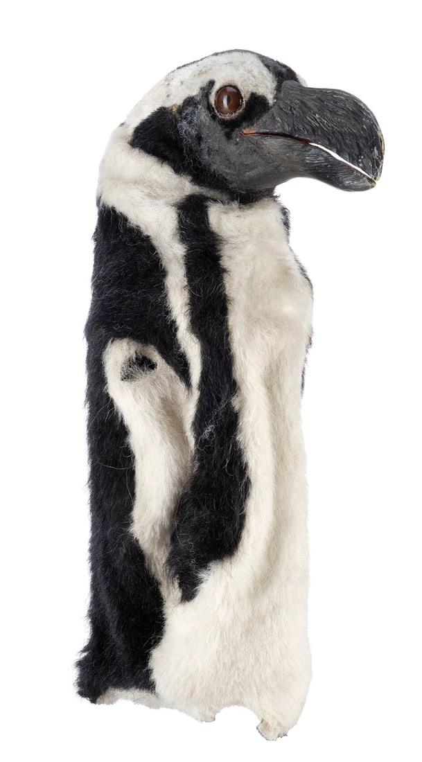 BATMAN RETURNS (1992) - Penguin Head and Skin for Mechanical Puppet: BATMAN RETURNS (1992) - Penguin Head and Skin for Mechanical Puppet - A head and skin for a mechanical penguin puppet from Tim Burton's Batman Returns. After being abandoned by his parents at birth, O