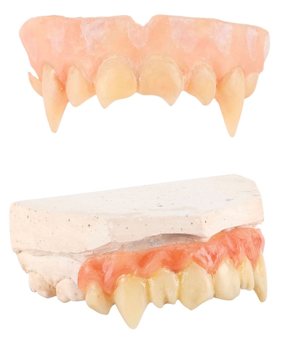 BUFFY THE VAMPIRE SLAYER (T.V. SERIES, 1997-2003) - Angel's (David Boreanaz) and Spike's (James: BUFFY THE VAMPIRE SLAYER (T.V. SERIES, 1997-2003) - Angel's (David Boreanaz) and Spike's (James Marsters) Fangs - Angel's (David Boreanaz) and Spike's (James Marsters) fangs from the television