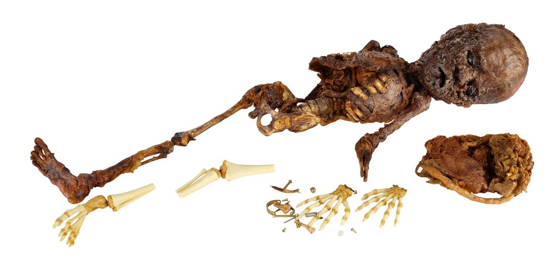 J. EDGAR (2011) - The Lindenburgh Baby Skeleton (1 of 5)