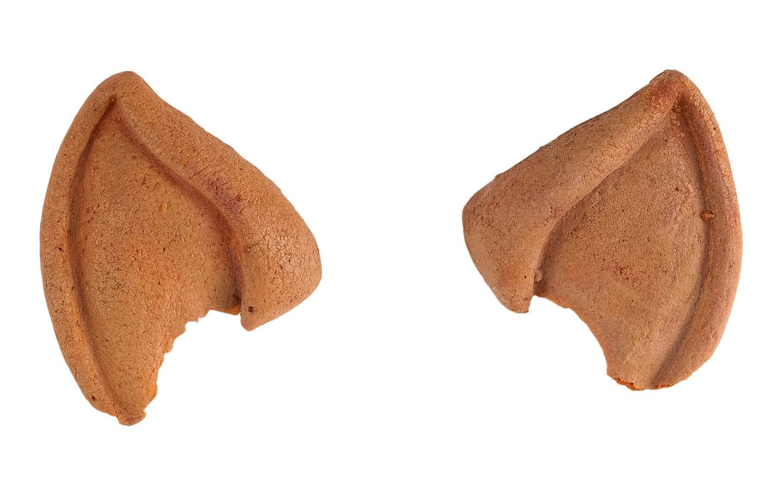 STAR TREK: THE MOTION PICTURE (1979) - Planet Hollywood Collection: Spock's (Leonard Nimoy): STAR TREK: THE MOTION PICTURE (1979) - Planet Hollywood Collection: Spock's (Leonard Nimoy) Production-Made Ear Appliances - Spock's (Leonard Nimoy) ear appliances from the production of Robert