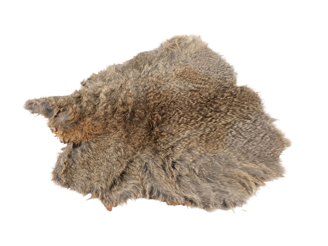 WESTWORLD (2016 - 2022) - Screen-Matched The Maze-Engraved Rabbit Pelt: WESTWORLD (2016 - 2022) - Screen-Matched The Maze-Engraved Rabbit Pelt - A screen-matched rabbit pelt engraved with The Maze from Jonathan Nolan and Lisa Joy's Westworld. In the Season 2 episode