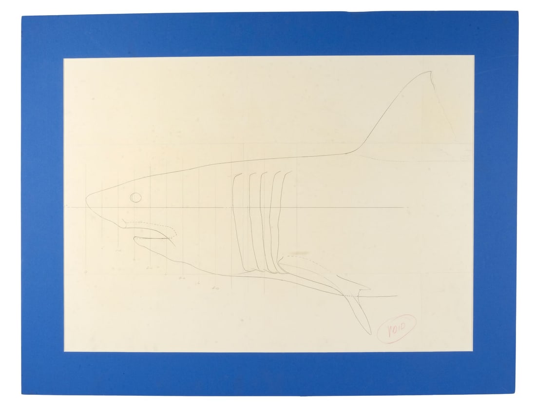 186. JAWS (1975) - Planet Hollywood Collection: Matted Hand-Drawn Bruce the Shark Layout Drawing: B