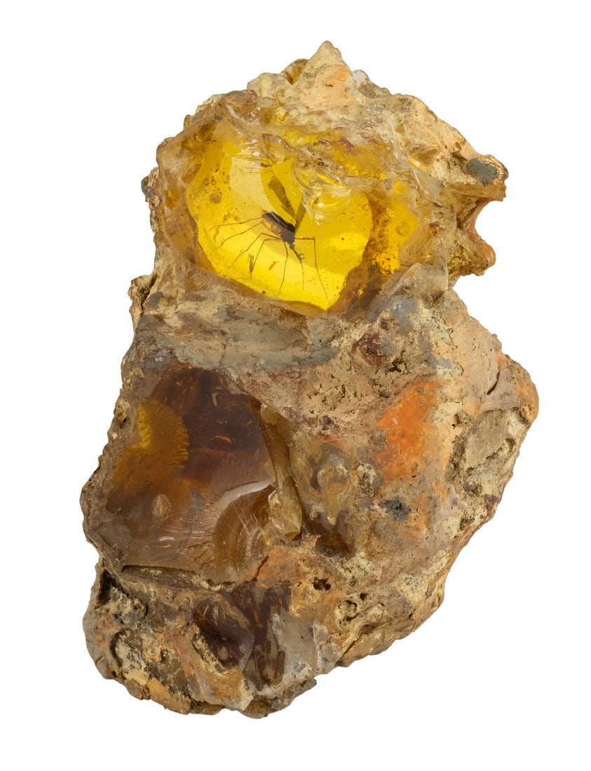 190. JURASSIC PARK (1993) - Screen-Matched Opening Scene Mosquito in Amber Fossil: B