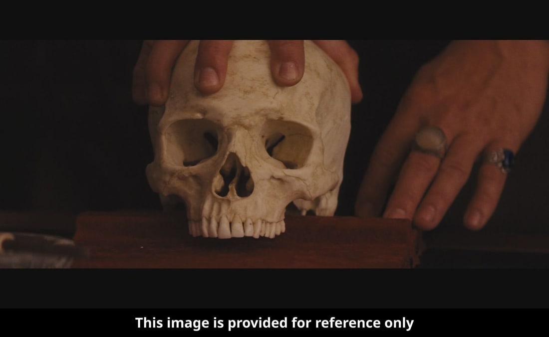 619. DJANGO UNCHAINED (2012) - Hero Skull - 7