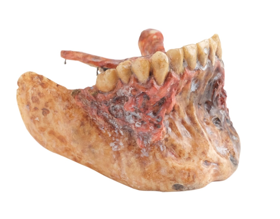 650. ARMY OF DARKNESS (1992) - Evil Ash's (Bruce Campbell) Lower Jaw Appliance: B