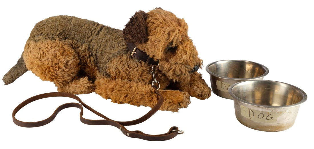 740. FINCH (2021) - Goodyear (Seamus) Stand-In with Accessories: B