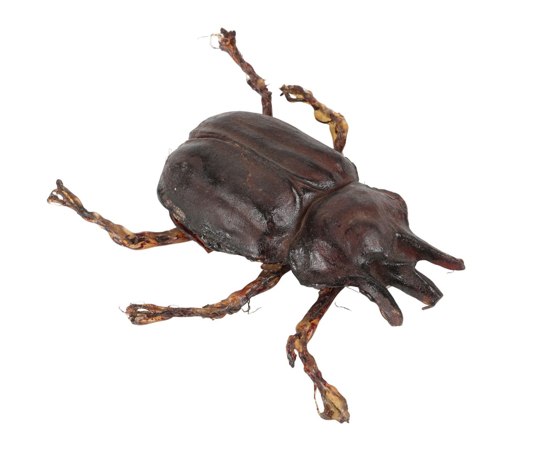 879. INDIANA JONES AND THE TEMPLE OF DOOM (1984) - Pankot Palace Banquet Beetle: B